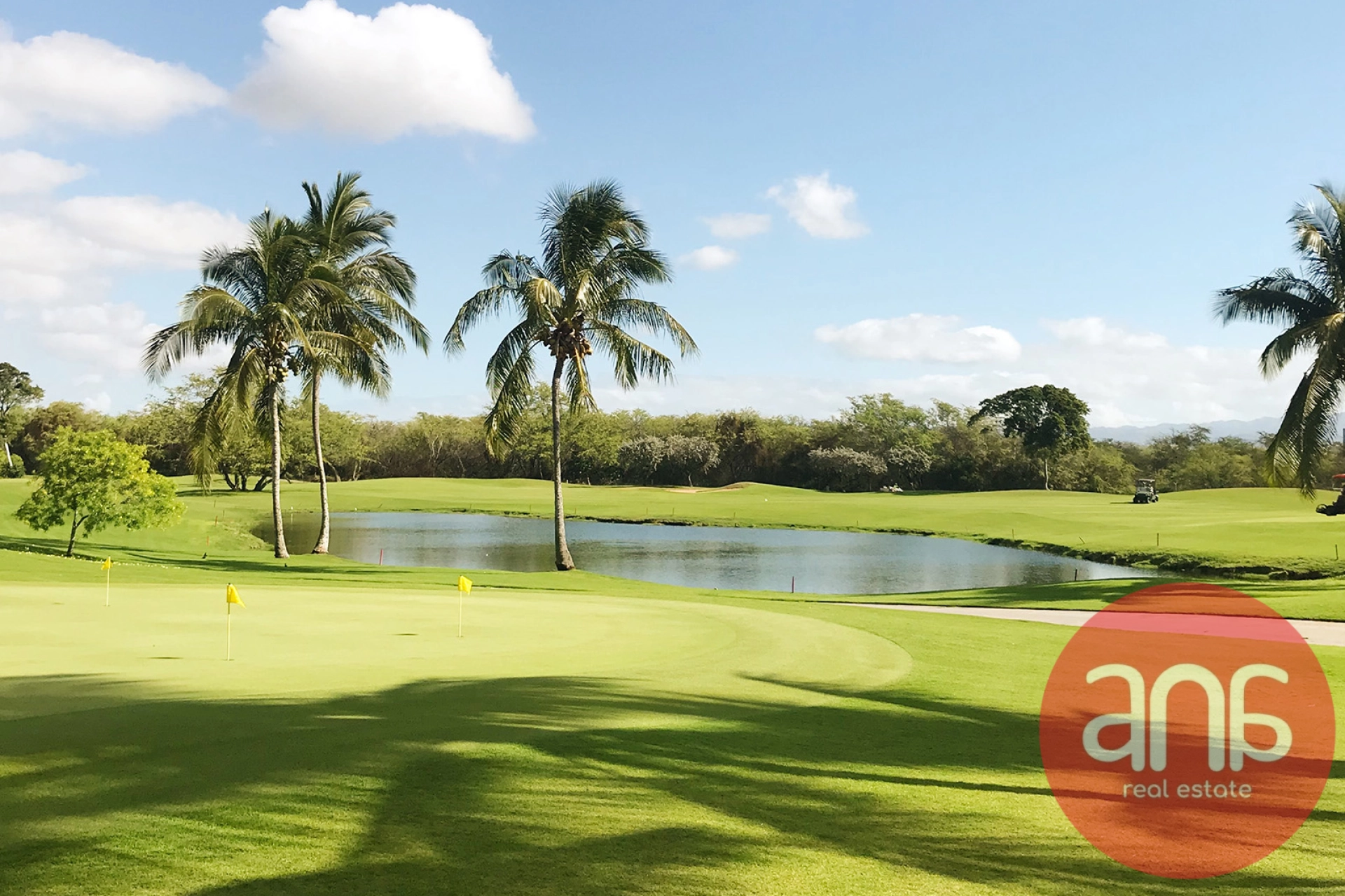 EXCLUSIVE | ROI | GOLF VIEW | Q4 2026