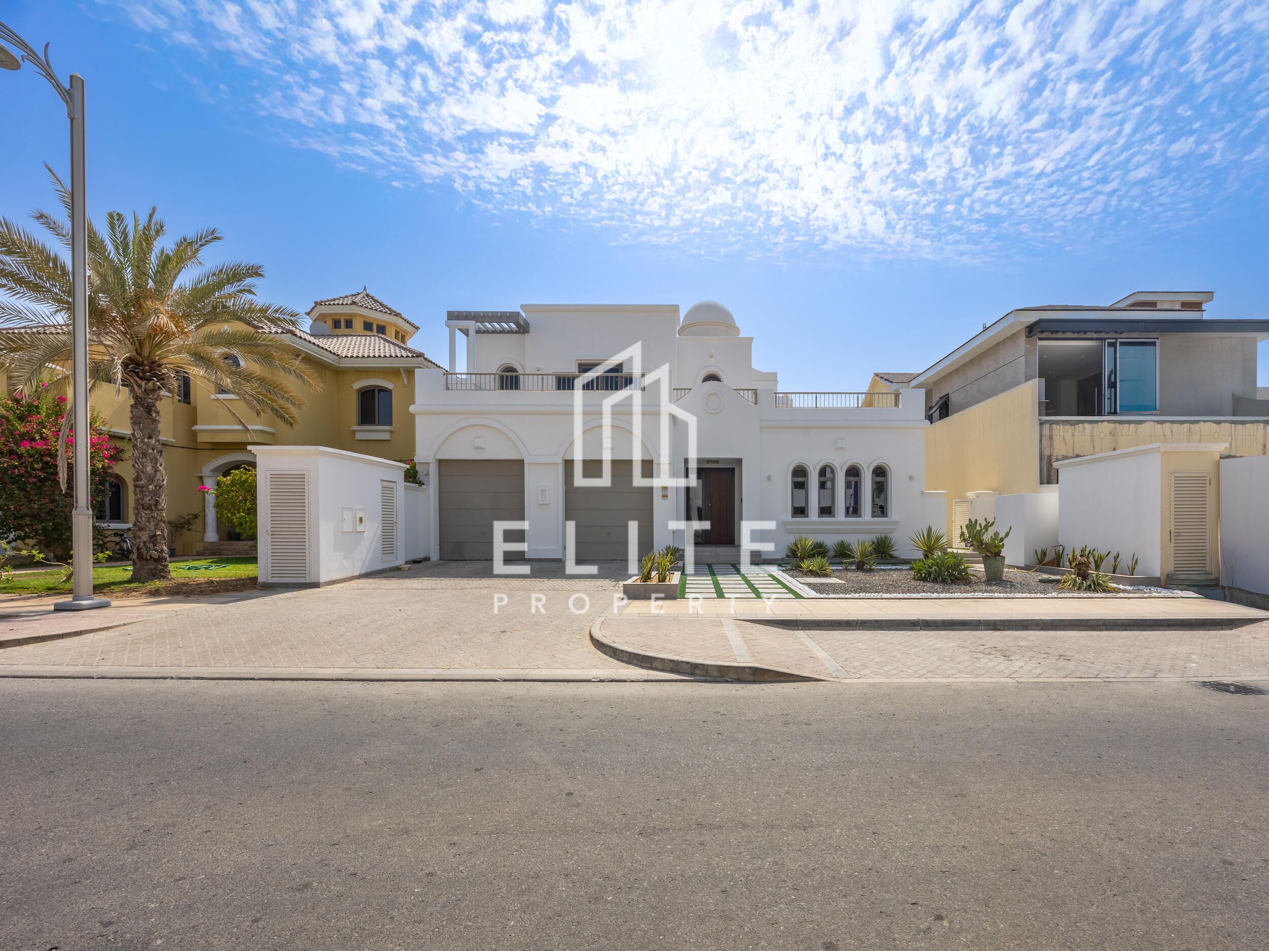 UPGRADED | HIGH NUMBER | EXTENDED PLOT