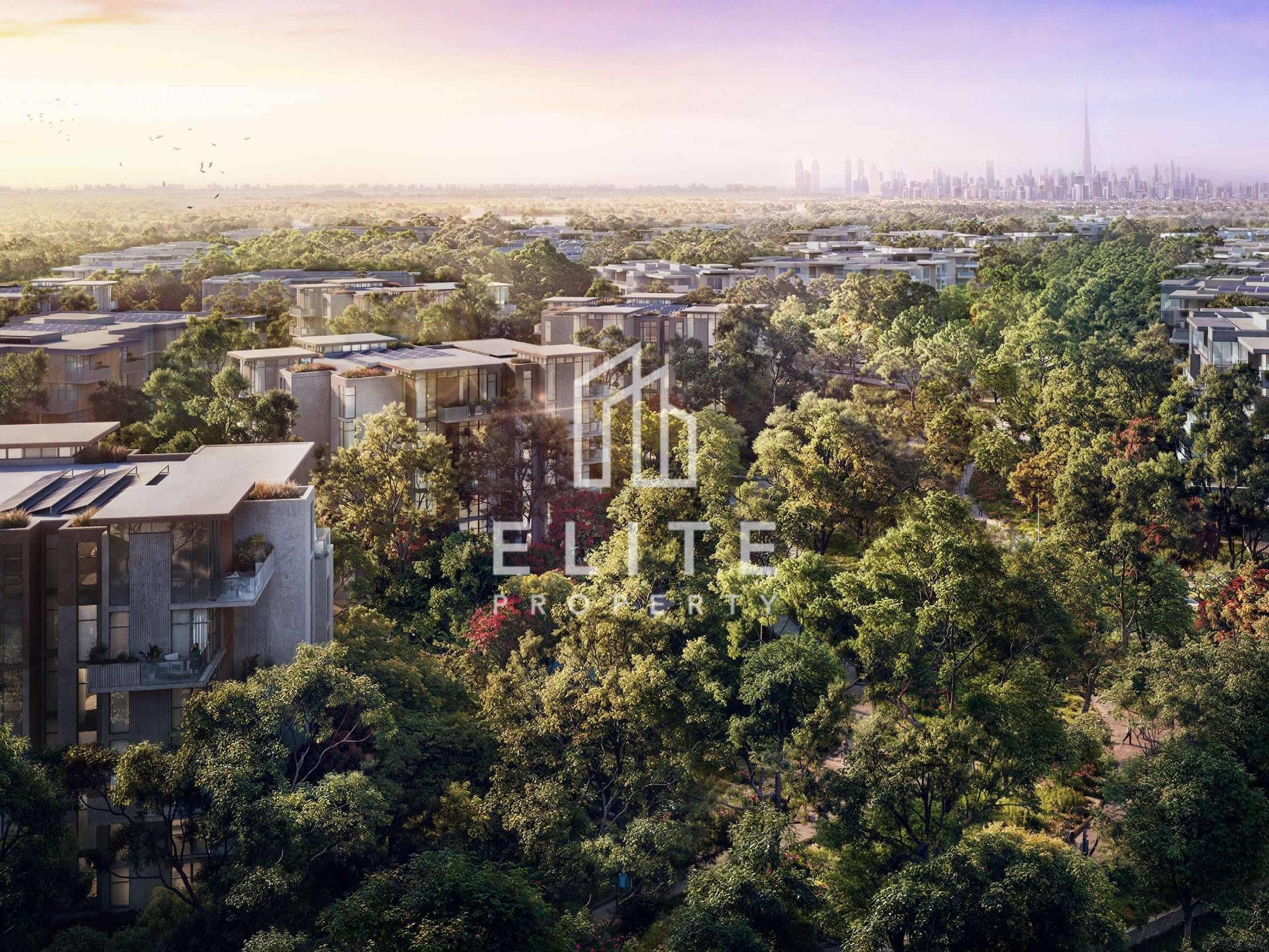 2-Bedroom Apartment in Distrikt 1, Ghaf Woods