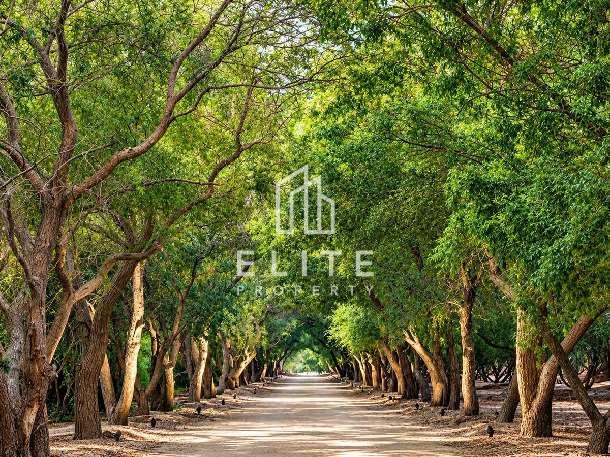 Stunning Corner Villa | Large Plot | Near Canal