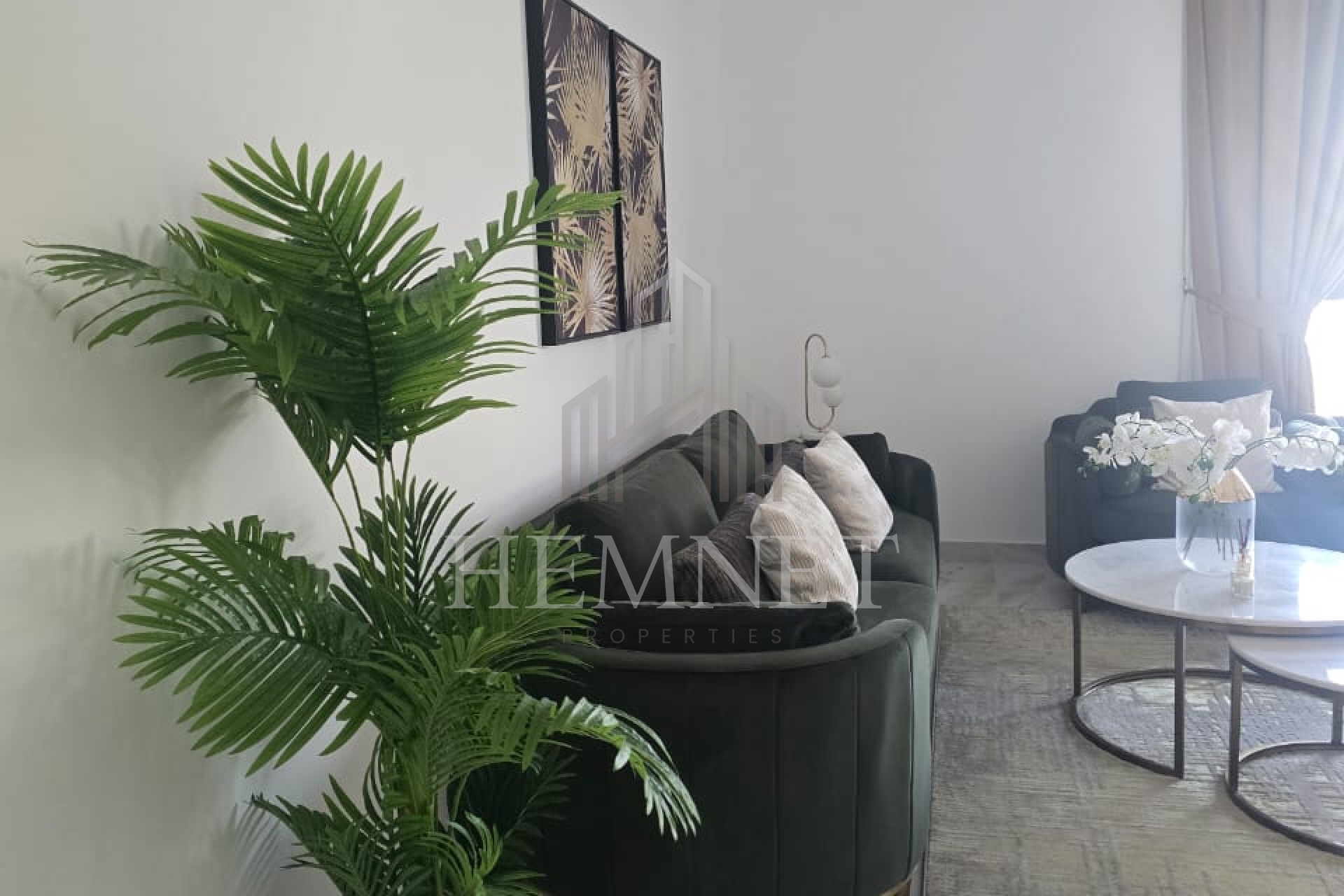 Fully Furnished | Brand New | Vacant