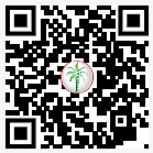 DLD permit QR code — scan to verify this listing