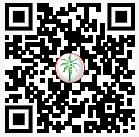 DLD permit QR code — scan to verify this listing